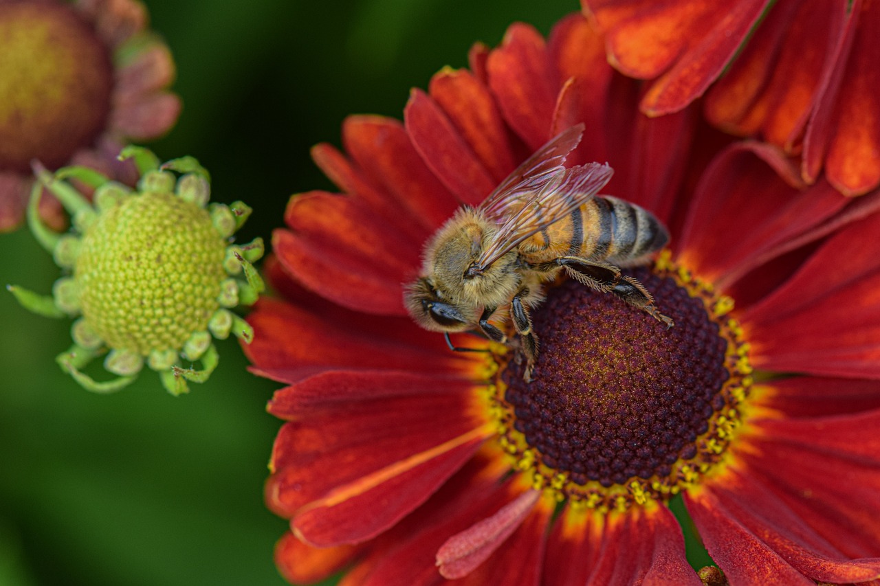 Get Buzzy: Bee Crafts for Kids